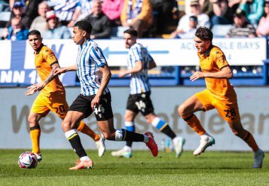 Sheffield 'li Shea Charles, 5 Nisan 2025' te Sheffield Wednesday, Hillsborough, Sheffield City 'de Hull City' ye karşı oynanan Sky Bet Şampiyonası maçında görev başında.