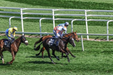 Jack Tudor 'un sürdüğü Derin Mağara, 5 Nisan 2025' te Aintree Yarış Pisti, Liverpool 'da düzenlenen Randox Grand National 2025 Günü' nde 13: 20 William Hill En İyi Fiyat Engelli Engelli Engellisini Kazandı.