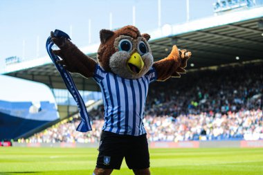 Sheffield Wednesday maskotu Barney, Gök İddia Şampiyonası maçında Sheffield, Hull City 'ye karşı 5 Nisan 2025' te Hillsborough, Sheffield, İngiltere 'de.