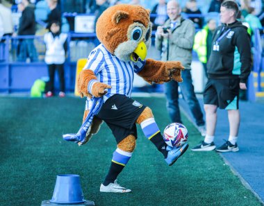 Sheffield Wednesday maskotu Barney, Gök İddia Şampiyonası maçında Sheffield, Hull City 'ye karşı 5 Nisan 2025' te Hillsborough, Sheffield, İngiltere 'de.