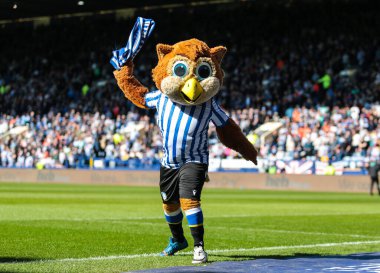 Sheffield Wednesday maskotu Barney, Gök İddia Şampiyonası maçında Sheffield, Hull City 'ye karşı 5 Nisan 2025' te Hillsborough, Sheffield, İngiltere 'de.