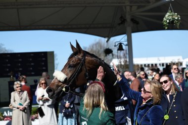 Stan Sheppard 'ın sürdüğü Cruz Kontrol, 5 Nisan 2025' te Aintree Yarış Pisti 'nde düzenlenen Randox Grand National 2025 Ulusal Günü' nde 14: 30 'da William Hill Handicap Chase' i kazandı.