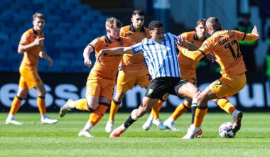 Hull City 'den Joo Pedro Sheffield' li Shea Charles tarafından Çarşamba günü Sheffield Çarşamba günkü Hull City 'ye karşı 5 Nisan 2025' te Hillsborough, Sheffield, İngiltere 'de oynanan karşılaşmada yenildi.