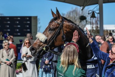 Stan Sheppard 'ın sürdüğü Cruz Kontrol, 5 Nisan 2025' te Aintree Yarış Pisti 'nde düzenlenen Randox Grand National 2025 Ulusal Günü' nde 14: 30 'da William Hill Handicap Chase' i kazandı.