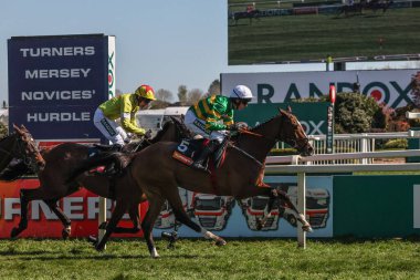 Mark Walsh tarafından sürülen Dürüstlük Politikası, 5 Nisan 2025 tarihinde Aintree Yarış Pisti, Liverpool, Birleşik Krallık 'ta düzenlenen Randox Grand National 2025 Günü' nde 13: 55 Turners Mersey Novices 'Engeli kazandı.