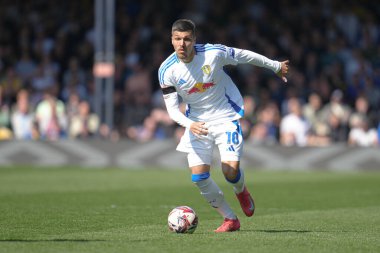 Leeds United takımından Jol Piroe 5 Nisan 2025 'te Luton Town - Leeds United maçında Kenilworth Road, Luton, İngiltere' de karşılaştı.