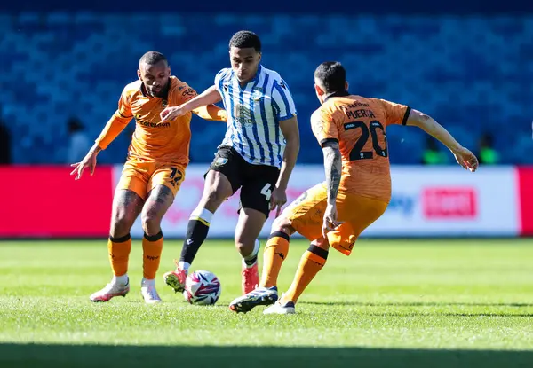 Sheffield 'li Shea Charles, 5 Nisan 2025' te Sheffield Wednesday, Hillsborough, Sheffield City 'de Hull City' ye karşı oynanan Sky Bet Şampiyonası maçında görev başında.