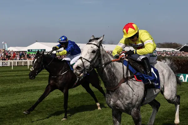 Harry Cobden 'ın bindiği Caldwell Potter, 4 Nisan 2025' te Aintree Yarış Pisti 'nde düzenlenen Randox Grand 2025 Kadınlar Günü' nde Huyton Asphalt Franny Blennerhassett Memorial Mildmay Adayları 'nın lideri.