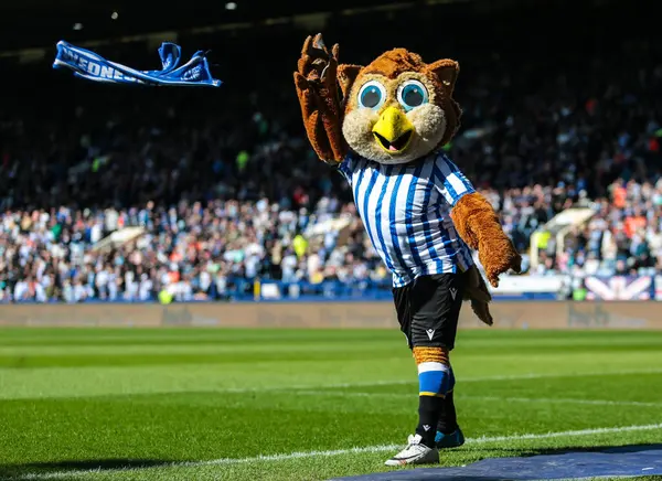 Sheffield Wednesday maskotu Barney, Gök İddia Şampiyonası maçında Sheffield, Hull City 'ye karşı 5 Nisan 2025' te Hillsborough, Sheffield, İngiltere 'de.
