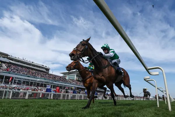 Jonjo ONeill JR tarafından sürülen Wellington Kemeri, 4 Nisan 2025 'te Aintree Yarış Pisti' nde düzenlenen Randox Grand National 2025 Kadınlar Günü 'nde William Hill Handicap Engelli Engellisini kazandı.