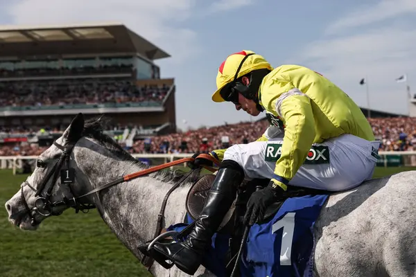 Harry Cobden 'ın bindiği Caldwell Potter, 4 Nisan 2025' te Aintree Yarış Pisti 'nde düzenlenen Randox Grand 2025 Kadınlar Günü' nde Huyton Asphalt Franny Blennerhassett Memorial Mildmay Adayları 'nın lideri.