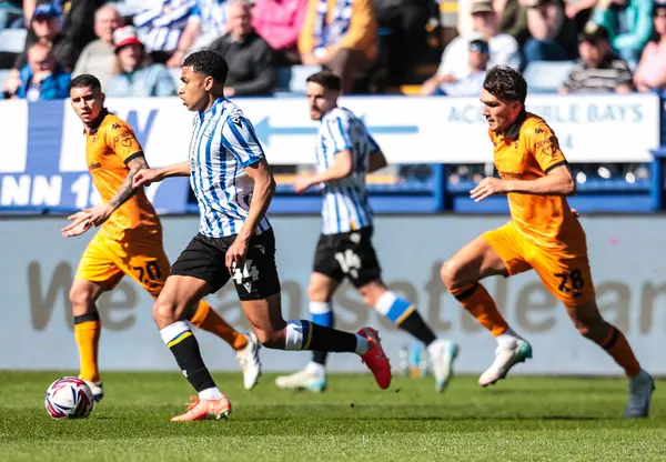 Sheffield 'li Shea Charles, 5 Nisan 2025' te Sheffield Wednesday, Hillsborough, Sheffield City 'de Hull City' ye karşı oynanan Sky Bet Şampiyonası maçında görev başında.