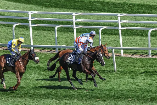 Jack Tudor 'un sürdüğü Derin Mağara, 5 Nisan 2025' te Aintree Yarış Pisti, Liverpool 'da düzenlenen Randox Grand National 2025 Günü' nde 13: 20 William Hill En İyi Fiyat Engelli Engelli Engellisini Kazandı.