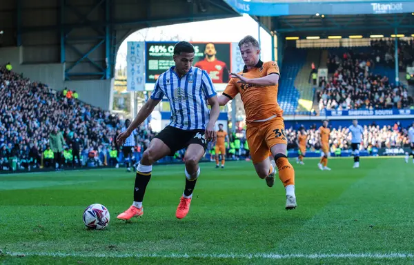 Sheffield 'li Shea Charles Çarşamba günü Hull City' den Joe Gelhardt 'ı 5 Nisan 2025' te Sheffield Çarşamba günü Hillsborough, Sheffield, İngiltere 'de Hull City maçında durdurdu.
