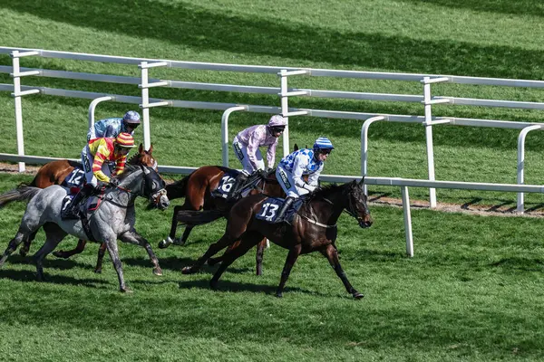 Oran McGill 'in bindiği köprülerin inşaatı, 5 Nisan 2025' te İngiltere 'nin Liverpool şehrinde düzenlenen 3.