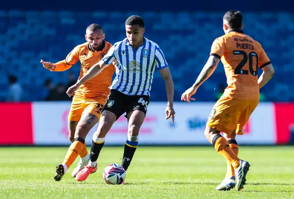 Sheffield 'li Shea Charles, 5 Nisan 2025' te Sheffield Wednesday, Hillsborough, Sheffield City 'de Hull City' ye karşı oynanan Sky Bet Şampiyonası maçında görev başında.