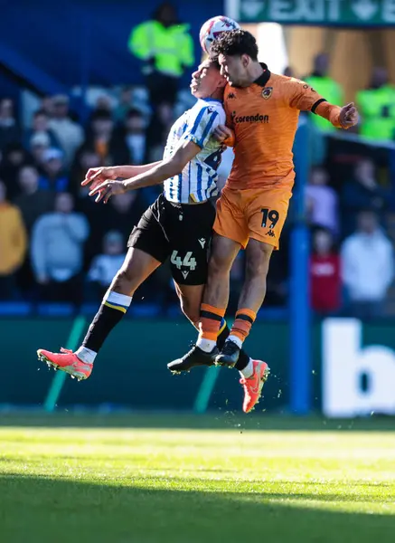 Sheffield 'li Shea Charles, 5 Nisan 2025' te Sheffield City 'de Çarşamba günü oynanan Sky Bet Şampiyonası maçında Hull City' den Steven Alzate ile top için düello yapacak.