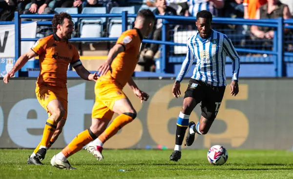 Sheffield 'li Ik Ugbo, 5 Nisan 2025' te Sheffield Wednesday, Hillsborough, Sheffield City 'de Hull City' ye karşı oynanan Gökyüzü İddia Şampiyonası maçında çarpışacak.