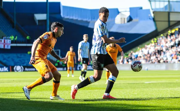 Hull City 'den Gustavo Puerta ve Sheffield' li Shea Charles, 5 Nisan 2025 'te Sheffield Çarşamba günü Hull City' de karşı karşıya gelecek.