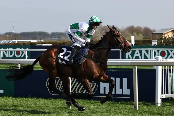 Jonjo ONeill JR tarafından sürülen Wellington Kemeri, 4 Nisan 2025 'te Aintree Yarış Pisti' nde düzenlenen Randox Grand 2025 Kadınlar Günü 'nde William Hill Handicap Engelli Engellisinde başı çekiyor.