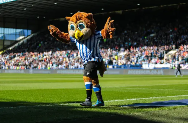 Sheffield Wednesday maskotu Barney, Gök İddia Şampiyonası maçında Sheffield, Hull City 'ye karşı 5 Nisan 2025' te Hillsborough, Sheffield, İngiltere 'de.