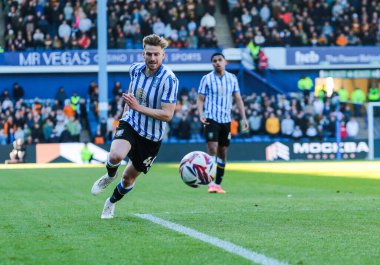 Sheffield 'den Stuart Armstrong, 5 Nisan 2025' te Sheffield Çarşamba günü Hillsborough, Sheffield, İngiltere 'de Hull City' ye karşı oynanan Gökyüzü İddia Şampiyonası maçında görev başında.