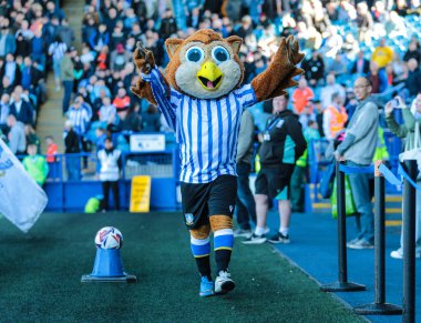 Sheffield Wednesday maskotu Barney, Gök İddia Şampiyonası maçında Sheffield, Hull City 'ye karşı 5 Nisan 2025' te Hillsborough, Sheffield, İngiltere 'de.