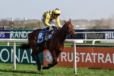 Paul Townend 'in sürdüğü Salvator Mundi, 4 Nisan 2025' te Aintree Yarış Pisti, Liverpool, Birleşik Krallık 'ta düzenlenen Randox Grand National 2025 Kadınlar Günü' nde Güvenilir Ticaret Adayları En İyi Adayları Engeli kazandı.