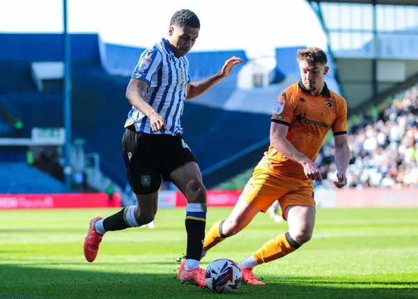 Sheffield 'li Shea Charles, 5 Nisan 2025' te Sheffield Wednesday, Hillsborough, Sheffield City 'de Hull City' ye karşı oynanan Sky Bet Şampiyonası maçında görev başında.