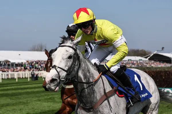 Harry Cobden 'ın bindiği Caldwell Potter, 4 Nisan 2025' te Aintree Yarış Pisti 'nde düzenlenen Randox Grand 2025 Kadınlar Günü' nde Huyton Asphalt Franny Blennerhassett Memorial Mildmay Adayları 'nın lideri.