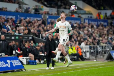 Swansea City 'den Lewis O' Brien, Swansea.com Stadyumu 'nda oynanan Swansea City - Plymouth Argyle maçında topu sürüyor.