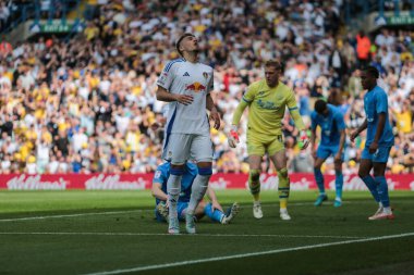 Leeds United takımından Jol Piroe, 12 Nisan 2025 'te Leeds Road, İngiltere' de oynanan ve Leeds United 'ın Preston North End' e karşı oynadığı Sky Bet Şampiyonası maçında kaçırdığı golün ardından tepki gösterdi.