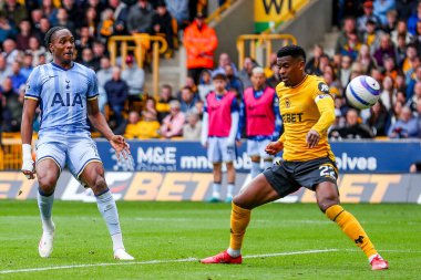 Tottenham Hotspur 'dan Mathys Tel Premier League maçında Wolverhampton Wanderers, Tottenham Hotspur' a karşı Molineux, Wolverhampton, Birleşik Krallık 'ta 13 Nisan 2025' te 2-1 berabere kaldı.
