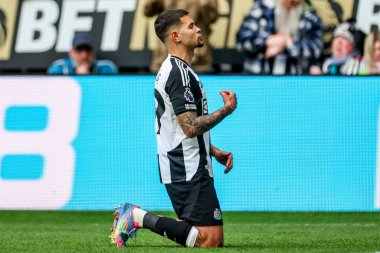 Newcastle United takımından Bruno Guimaraes, 13 Nisan 2025 'te St. James' s Park, Newcastle, İngiltere 'de oynanan Premier League maçı Newcastle United - Manchester United maçında 4-1 kazanma hedefini kutluyor.