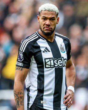 Premier Lig maçı sırasında Newcastle United, Manchester United 'a karşı St. James' s Park, Newcastle, İngiltere, 13 Nisan 2025