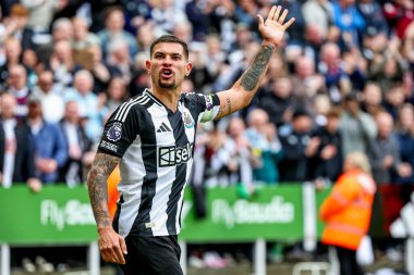Newcastle United 'dan Bruno Guimaraes, Premier League maçı Newcastle United' ın Manchester United 'a karşı oynadığı St. James' s Park, Newcastle, İngiltere 'de 13 Nisan 2025' de oynadığı üçüncü golü kutluyor.
