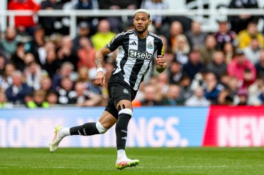 Newcastle United takımından Joelinton, 13 Nisan 2025 'te St. James' s Park, Newcastle, İngiltere 'de oynanan Premier League karşılaşmasında Manchester United ile karşı karşıya geldi.