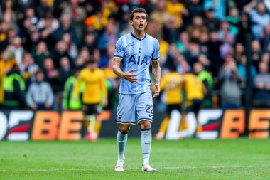 Tottenham Hotspur 'dan Brennan Johnson, Wolverhampton Wanderers' ın 13 Nisan 2025 tarihinde Molineux, Wolverhampton, İngiltere 'de oynanan Premier League maçında Wolverhampton Wanderers ile Tottenham Hotspur arasındaki dördüncü gol sonrasında tepki gösterdi.