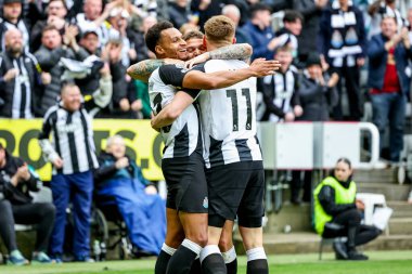 Newcastle United takımından Harvey Barnes, 13 Nisan 2025 'te St. James' s Park, Newcastle, İngiltere 'de oynanan Premier League maçı Newcastle United - Manchester United maçında takım arkadaşlarıyla yaptığı maçı kutluyor.