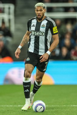Newcastle United 'dan Joelinton Premier Lig maçı sırasında Newcastle United, St. James' s Park 'ta Crystal Palace' a karşı, Newcastle, İngiltere, 16 Nisan 2025