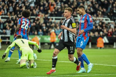 Newcastle United takımından Harvey Barnes, 16 Nisan 2025 'te St. James' s Park, Newcastle, İngiltere 'de oynanan Premier League maçı Newcastle United - Crystal Palace maçında 3-0' lık galibiyetini kutluyor.