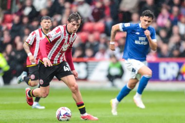 Sheffield United takımından Sydie Peck 18 Nisan 2025 'te Sheffield United ile Cardiff City arasında oynanan maçta sahada.