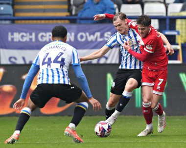 Sheffield 'den Svante Ingelsson Çarşamba günü Middlesbrough Futbol Kulübü' nden Hayden Hackney ile 21 Nisan 2025 'te, Sheffield, Sheffield, İngiltere' de Çarşamba günü Middlesbrough 'a karşı oynanan Gökyüzü İddia Şampiyonası maçında çarpışıyor.