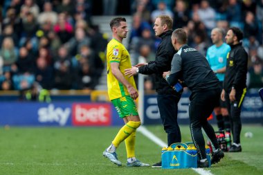 Norwich City 'den Kenny McLean 21 Nisan 2025' te Londra 'daki The Den' de Gökyüzü İddia Şampiyonası maçında Johannes Hoff 'a sesleniyor.