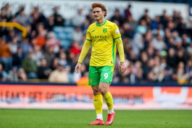 Norwich City 'den Josh Sargent, 21 Nisan 2025' te İngiltere 'nin The Den şehrinde oynanan Gökyüzü İddia Şampiyonası maçına bakıyor.