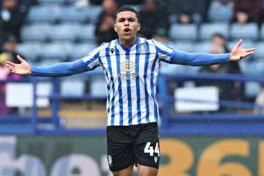 Sheffield 'li Shea Charles, 21 Nisan 2025' te Sheffield, Sheffield, İngiltere 'de Çarşamba günü Sheffield Çarşamba günü Middlesbrough' a karşı oynanan Gökyüzü İddia Şampiyonası maçında açıklama yaptı.