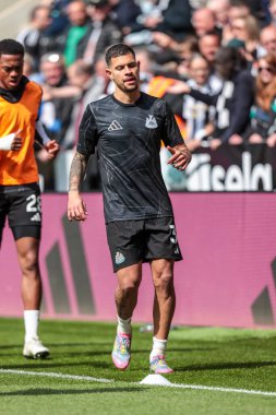 Newcastle United takımından Bruno Guimares, Premier League maçı sırasında St.James 's Park, Newcastle, İngiltere' de oynanan Newcastle United - Ipswich Town maçında ısınma turunda...