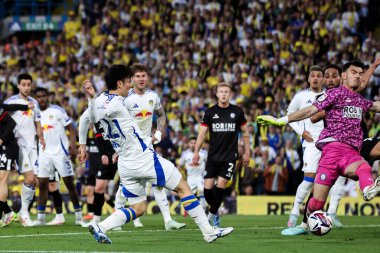 Leeds United takımından Ao Tanaka, 28 Nisan 2025 tarihinde İngiltere 'nin Leeds şehrinde oynanan ve Leeds United' ın Bristol City 'ye karşı oynadığı Sky Bet Şampiyonası maçında 1-0 yenilen golü kaydetti.