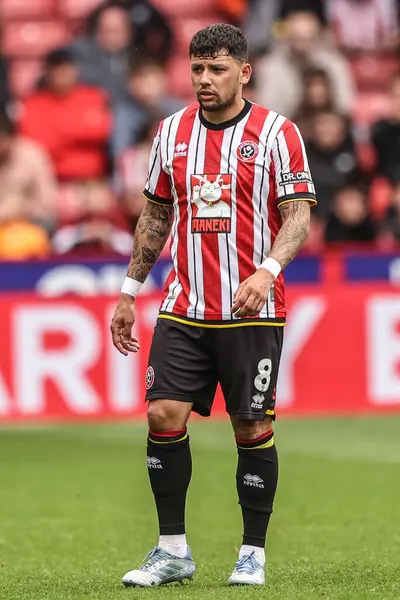 Sheffield United takımının oyuncusu Gustavo Hamer, 3 Mayıs 2025 'te Sheffield United ile Blackburn Rovers maçında Bramall Lane, Sheffield, İngiltere' de karşılaştı.