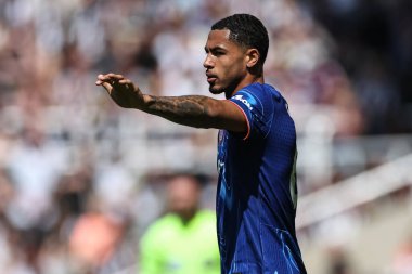 Chelsea 'li Levi Colwill, 11 Mayıs 2025' te İngiltere 'deki St. James' s Park 'ta oynanan Premier League karşılaşmasında takımına talimat verir.